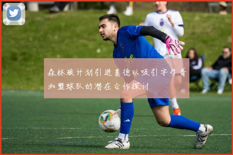 森林狼计划引进基德以吸引字母哥加盟球队的潜在合作探讨