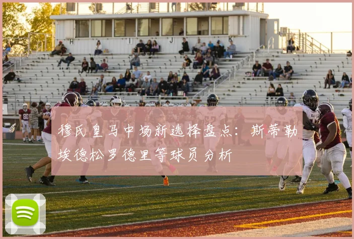 穆氏皇马中场新选择盘点：斯蒂勒埃德松罗德里等球员分析